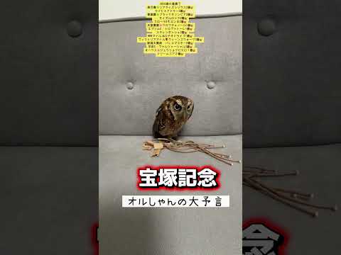 宝塚記念 競馬 shorts