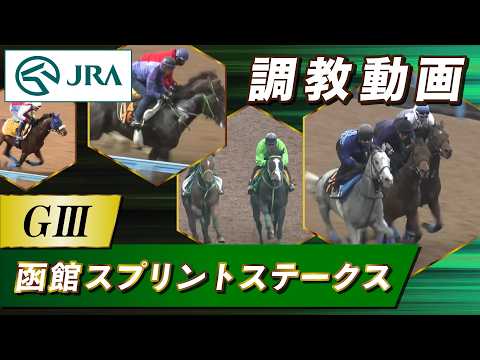 【調教動画】2026年 函館スプリントステークス｜JRA公式 サムネイル
