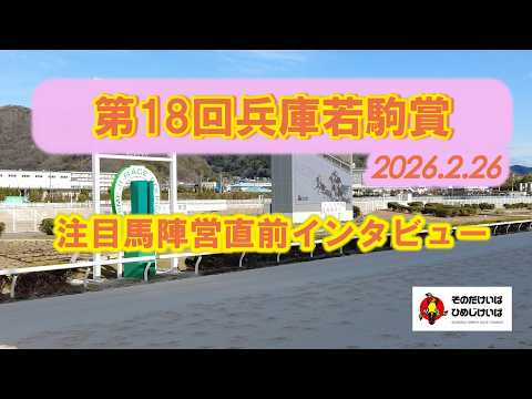 第１８回兵庫若駒賞 注目馬陣営直前インタビュー！