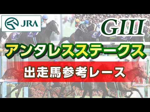 【参考レース】2026年 アンタレスステークス｜JRA公式 サムネイル