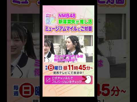 宝塚記念へ！有馬記念のヒーロー・ミュージアムマイル号に会ってきた！　カンテレ競馬　うま活　競馬BEAT　競馬　NMB… サムネイル