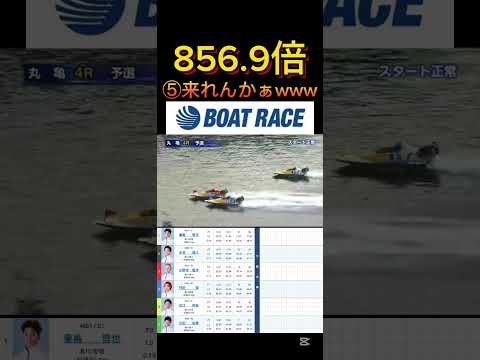 【丸亀競艇】2025年12月31日の最高配当レース！！⑤来れんかそれwww ボートレース 競艇 short short… サムネイル