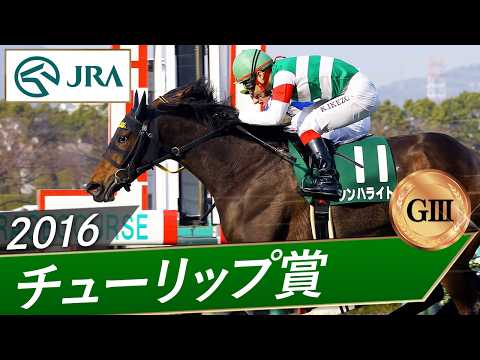 2016年 チューリップ賞（GⅢ） | シンハライト | JRA公式 サムネイル