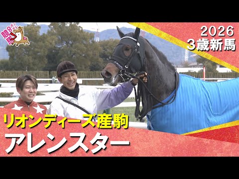 アレンスターが８馬身差の圧勝！三浦騎手「秘めている能力高い」2026年2月7日(土)３歳新馬　京都ダート1800m　実… サムネイル