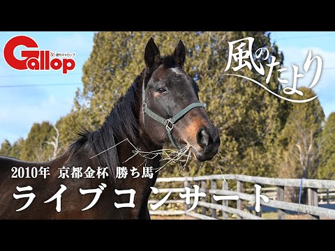 ライブコンサート　明和牧場ゆかりの馬とともに余生を送る【風のたより】 サムネイル