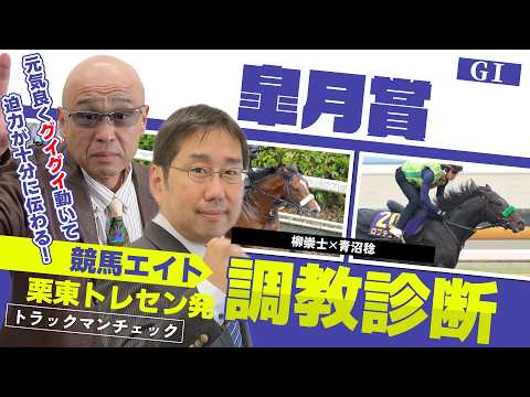 【競馬エイト調教診断】皐月賞（柳崇士＆青沼稔） サムネイル