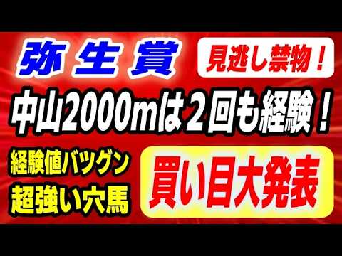 弥生賞2026【買い目 大発表】中山2000mを2回走っている経験値バツグンの超強い穴馬発見！ サムネイル