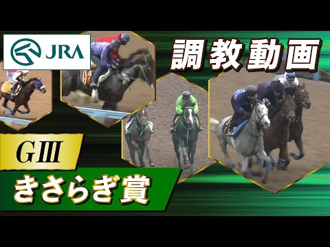 【調教動画】2026年 きさらぎ賞｜JRA公式 サムネイル