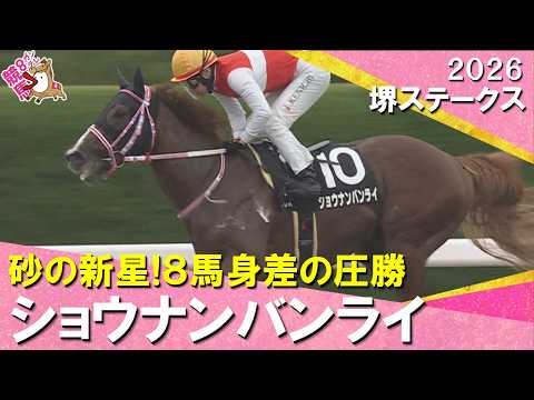 【衝撃V！オルフェーヴル産駒×池添謙一騎手】2026年堺ステークス　ショウナンバンライ  実況：石田一洋【カンテレ公式】