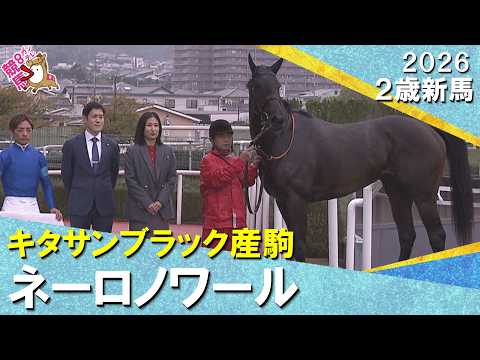 【断然人気ネーロノワールが出遅れも関係なしの快勝！】斉藤調教師「ジョッキーがうまく誘導してくれた」2026年9月26日…