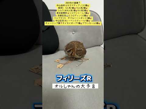 フィリーズレビュー 競馬 shorts サムネイル