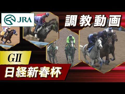 【調教動画】2026年 日経新春杯｜JRA公式 サムネイル