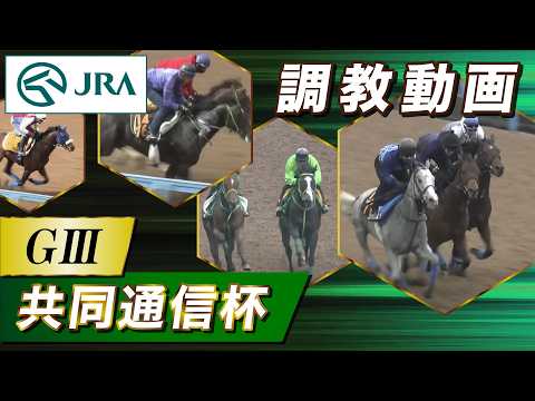 【調教動画】2026年 共同通信杯｜JRA公式 サムネイル