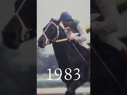 JRA電話・インターネット発売 50周年ムービー　つながり続けた50年。競馬はその先の時代へ。　60秒[Vertica… サムネイル