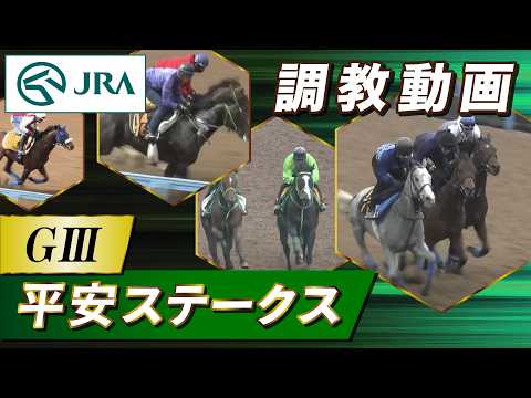 【調教動画】2026年 平安ステークス｜JRA公式 サムネイル