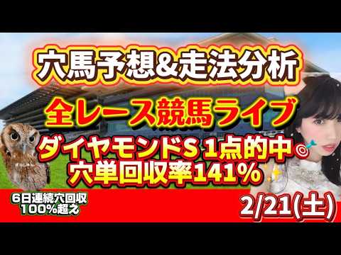 【中央競馬】11人気🎯 ダイヤモンドステークス3複1点🎯穴単回収率141％🎯 サムネイル