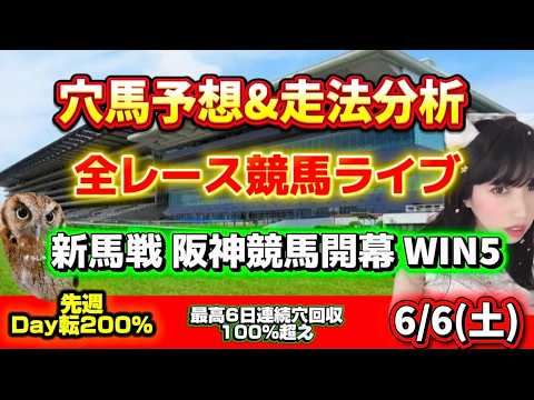 【競馬 JRAレース予想ライブ】新馬戦 阪神競馬開幕 勝ち馬が見つかる競馬 サムネイル