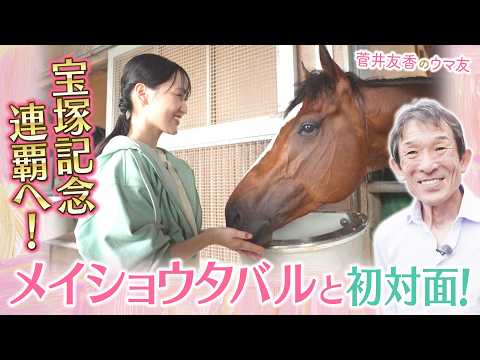 「調教過程としては順調にきている」メイショウタバルを送り出す石橋守調教師を直撃！春のグランプリ・宝塚記念連覇へのポイン… サムネイル