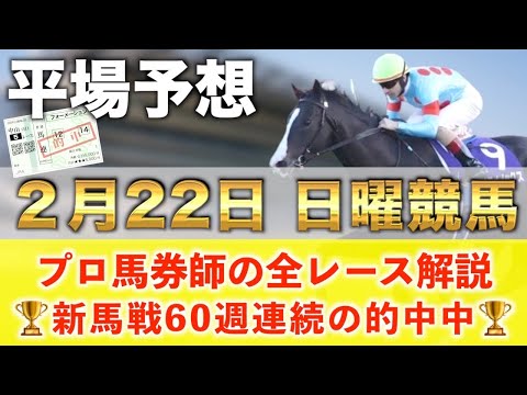 【2月22日日曜競馬予想】想定12番人気138.9倍の超大穴馬を狙い撃つ‼️プロが平場全レース予想を無料公開！【平場予… サムネイル