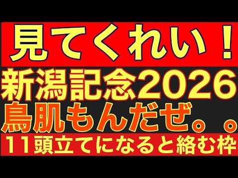 【新潟記念2026サイン②】11頭立てなら鉄板の法則を公開！アツい馬番で狙う一撃必殺サイン馬券！競馬 新潟記念