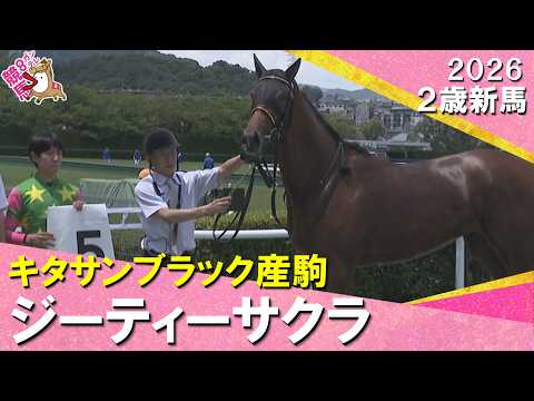 【関西一番星は衝撃Ｖ】阪神２歳戦史上最速の上がりでジーティーサクラが勝利！北村友一騎手「非常にいい内容」2026年6月…