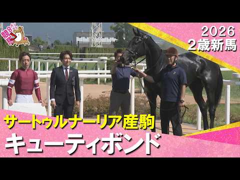 1.7億円の良血馬キューティボンドが快勝！福永調教師「これからが楽しみ」2026年10月10日(土)２歳新馬　京都芝1…