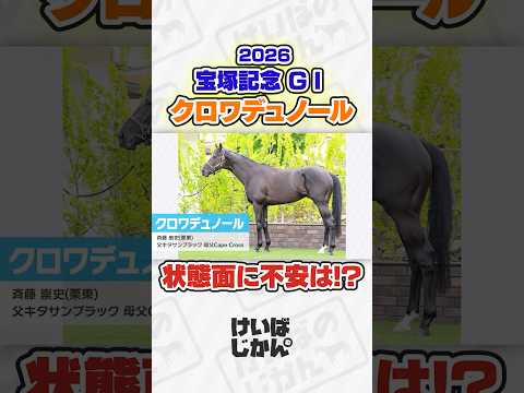 【宝塚記念 2026】クロワデュノールの状態面は大丈夫？ラジオ日本解説者やーしゅんが解説！ 競馬 競馬予想 クロワデュ… サムネイル
