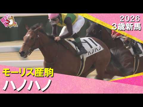 1番人気のハノハノがクビ差の争いを制しデビュー勝ち！ルメール騎手「芝でもいけそう」2026年2月15日(日)３歳新馬… サムネイル