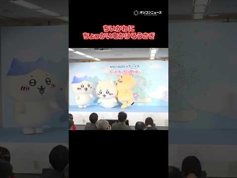 ちいかわにちょっかいをかけるうさぎ　shorts
