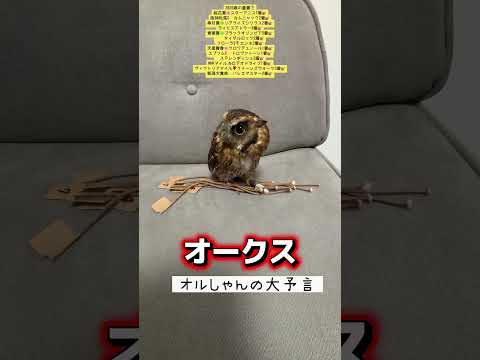 オークス 競馬 shorts サムネイル