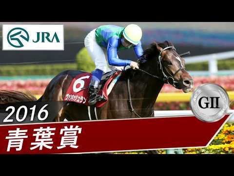 2016年 青葉賞（GⅡ） | ヴァンキッシュラン | JRA公式 サムネイル