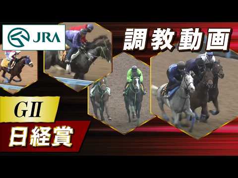 【調教動画】2026年 日経賞｜JRA公式 サムネイル
