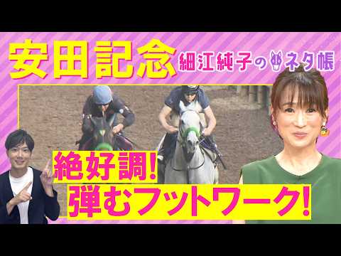「復調気配あり！距離馬場問題なし」ガイアフォース、ステレンボッシュ、パンジャタワー・・・安田記念(ＧⅠ)を元ジョッキー… サムネイル
