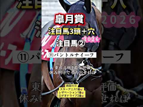 皐月賞 競馬 shorts サムネイル