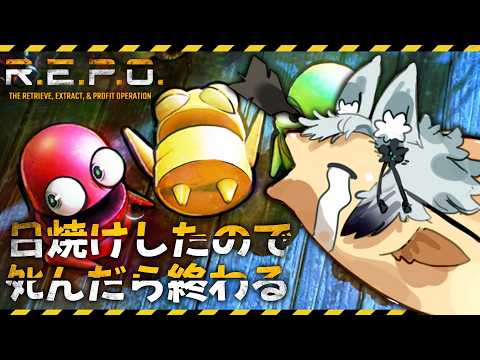 日焼けしたからﾀﾋんだら終了、ソロR.E.P.O.【R.E.P.O】 サムネイル