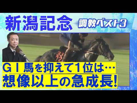 「良い頃の加速感戻ってきた!」ロデオドライブ、ダノンシーマ、ゾロアストロ・・・競馬エイト・高橋賢司トラックマンの調教解…