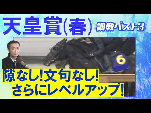 「復調気配あり！変わり身が期待できる！」クロワデュノール、アドマイヤテラ、ヘデントール・・・競馬エイト・高橋賢司トラッ… サムネイル