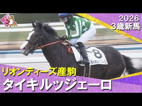 単勝170.6倍13番人気のタイキルッジェーロがデビュー勝ち！斎藤新騎手「センスで勝ち切ってくれました」2026年1月… サムネイル