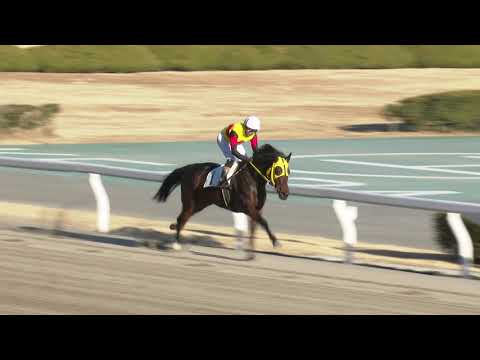 2026年1月9日浦和競馬 臨時能力調教試験 サムネイル