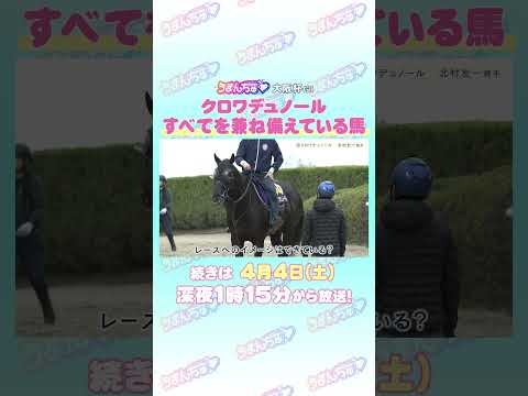 大阪杯 GⅠ トレセン直撃取材！　競馬 大阪杯 クロワデュノール 北村友一 騎手 サムネイル