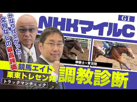 【競馬エイト調教診断】NHKマイルC（柳崇士＆青沼稔） サムネイル