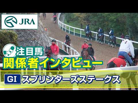 【注目馬 関係者インタビュー】2026年 スプリンターズステークス｜JRA公式