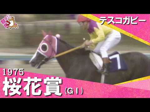 「後ろからは何も来ない！恐れ入った！」1975年 桜花賞 (ＧⅠ) テスコガビー　実況：杉本清【カンテレ公式】