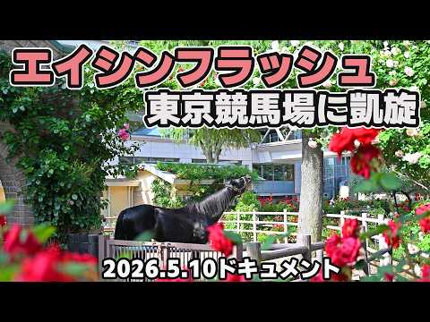 【ダービー馬エイシンフラッシュ東京競馬場来場ドキュメント】