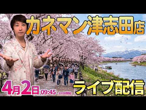 4月から始まる爆勝ロード第一章【パチンコ人気台】桜花乱舞＆出玉乱舞(予定)すぎたパチンコライブ ︎パチンコ パチスロ サムネイル