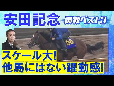 「気になるもう１頭は人気薄の…！」ガイアフォース、ステレンボッシュ、パンジャタワー・・・競馬エイト・高橋賢司トラックマ… サムネイル