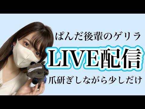 ゲリラ爪研ぎ雑談ライブ配信📡〜ぱんだ後輩の競馬日記〜