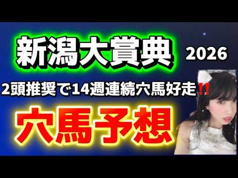 【新潟大賞典2026予想】14週連続穴馬好走！新潟大賞典穴馬のポイント