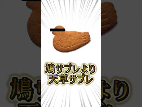 洗脳地獄動物園ASMR　 vtuber　shorts  バーチャルYoutuber 丹下琴絵 個人勢Vtuber My… サムネイル