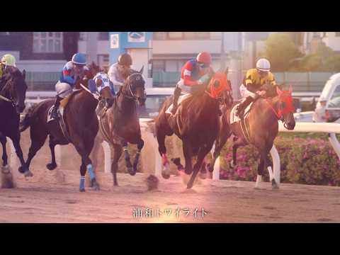 【トワイライトマジック！編60秒】令和8年度浦和競馬場プロモーションビデオ サムネイル
